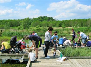 Pond Dipping at Brockholes