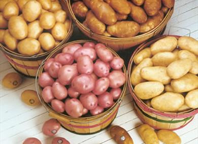 D&G Jolleys Potatoes