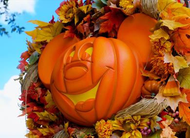 Pumpkin Trail at Edgeside Park