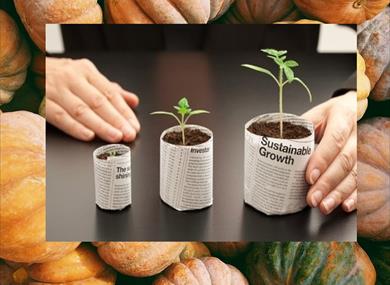 Sow & Grow