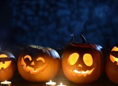 Pumpkin Trail at Edgeside Park