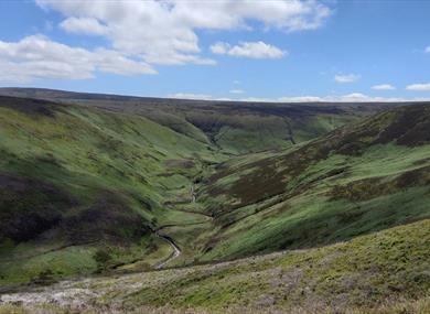 RSPB Moorland Safari