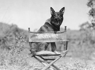 Rin-Tin-Tin and Friend: Bring your Dog!