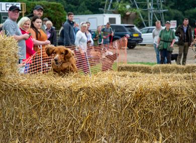 Lancashire Game and Country Festival