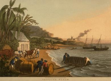 Cotton and Slavery by Professor Alan Rice