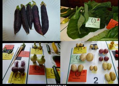 Edgworth & District Garden Club Annual Show