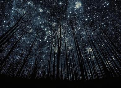 G-Astronomy Night