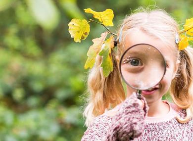 Kids' Summer Safari