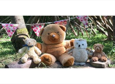 Teddy Bears Picnic at Mere Sands Wood