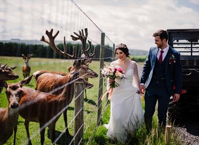 Wedding Open Day