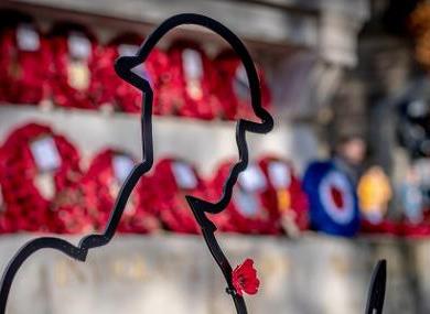 Armistice Day 2024