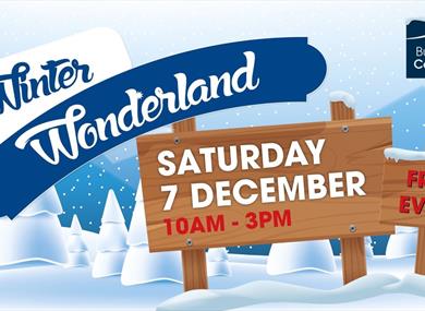 Winter Wonderland