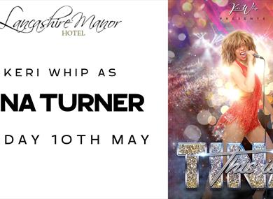 Tina Turner Tribute Night