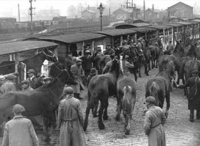 The War Horse Walking Route