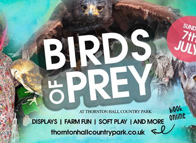 Birds of Prey at Thornton Hall Country Park