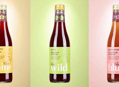 Calyx Drinks Ltd