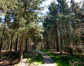 Beacon Fell Country Park