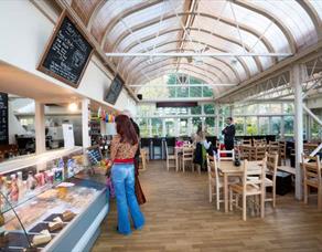 Pavillion Cafe