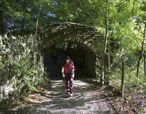 Walking with the Forest of Burnley