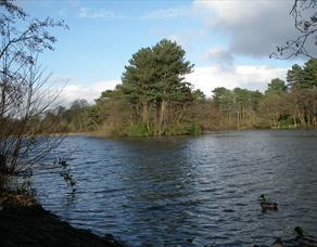 Cuerden Valley Park