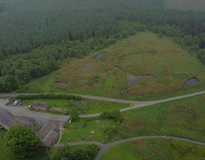 Gisburn Forest