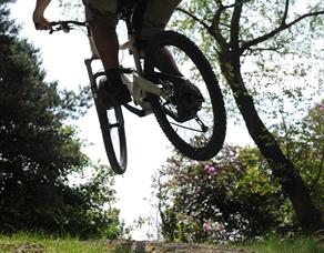 Billinge Wood Mountain Bike Trails