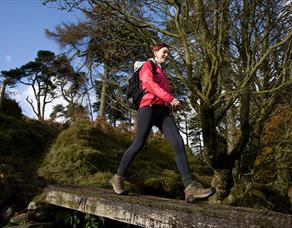 Brungerley Bridge to Grindleton Bridge