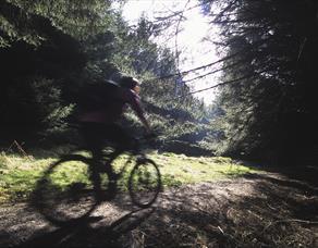 Family Friendly Route - Gisburn Forest