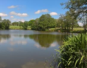 The Horns Dam