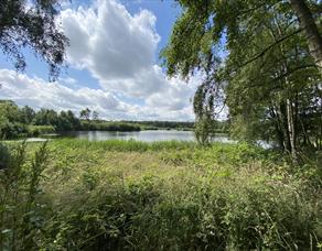 Mere Sands Wood Nature Reserve