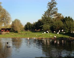 Lapwing Cycle Route - West Lancashire