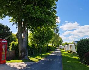 Moss Wood Caravan Park