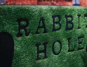 Rabbit Hole branding