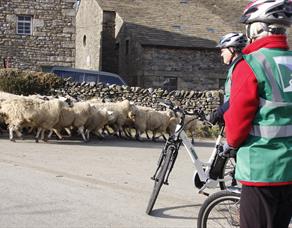 Cycling along the Bowland lanes