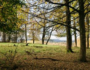 The Estate Grounds at Stirk House Hotel