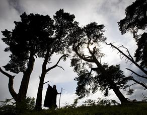 Pendle Witch Experience