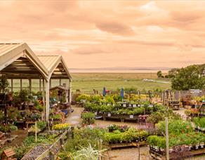 Bay View Garden Centre