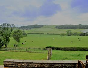 Lodge View Cottages