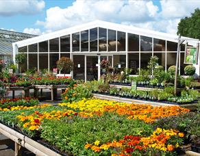 Pimbo Garden Centre