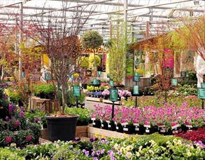 Barton Grange Garden Centre
