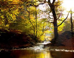 Witton park by the river