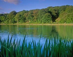 Yarrow Valley Country Park