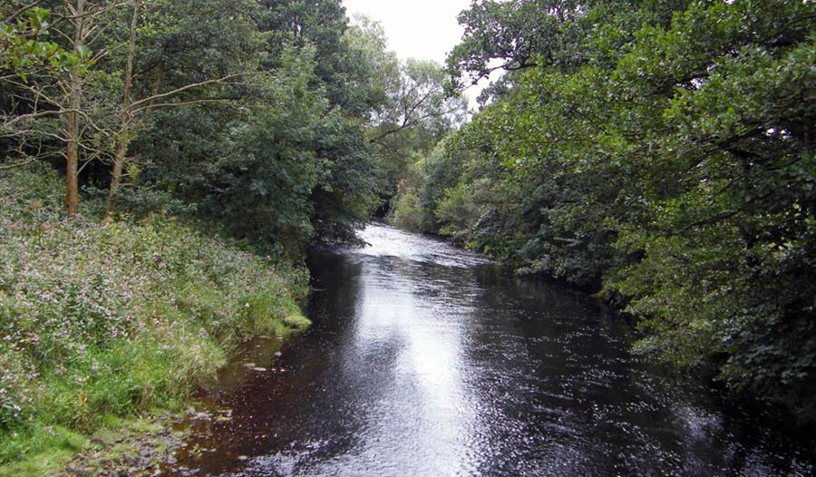 Scorton Picnic Site