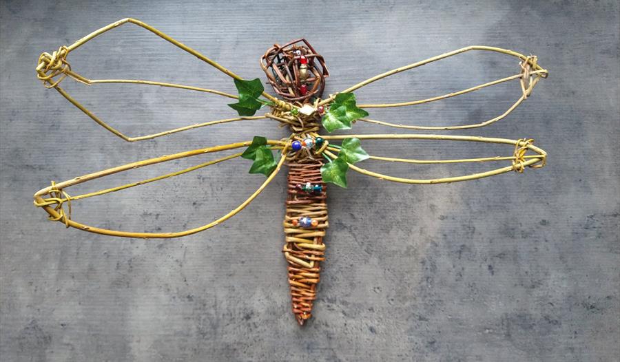 Willow Dragonfly Class