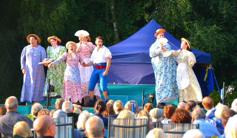 Cast during a performance