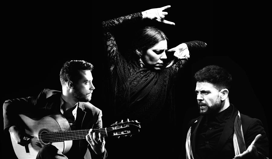 Art of Andalucia (Flamenco Dance): Daniel Martinez
