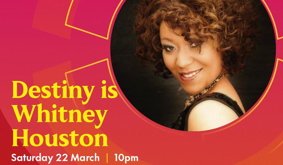 Whitney Houston Tribute: Destiny