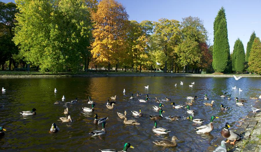 Thompson Park Burnley