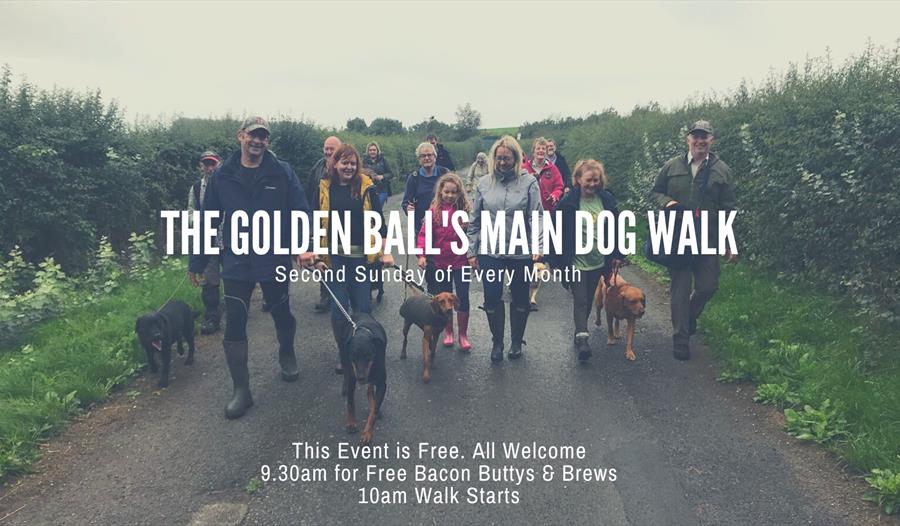 Dog Walk - Longton