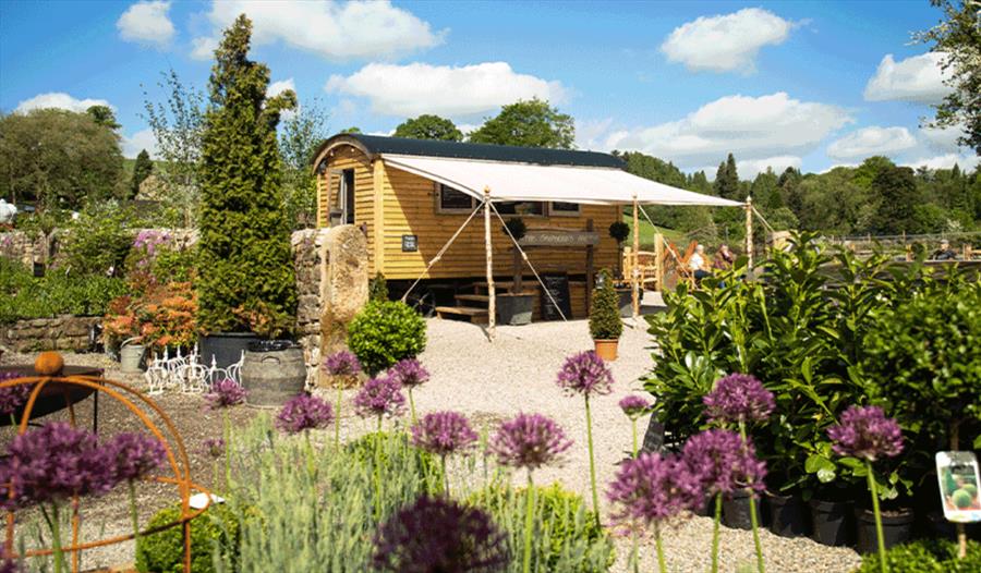 Outdoor image of the nurseries on a sunny day.